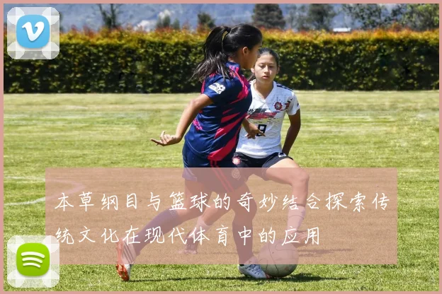 本草纲目与篮球的奇妙结合探索传统文化在现代体育中的应用