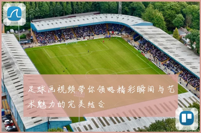足球画视频带你领略精彩瞬间与艺术魅力的完美结合