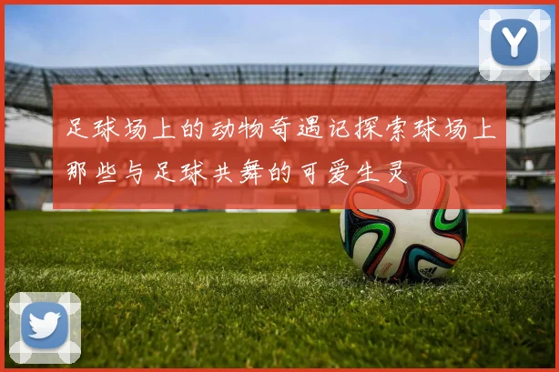 足球场上的动物奇遇记探索球场上那些与足球共舞的可爱生灵